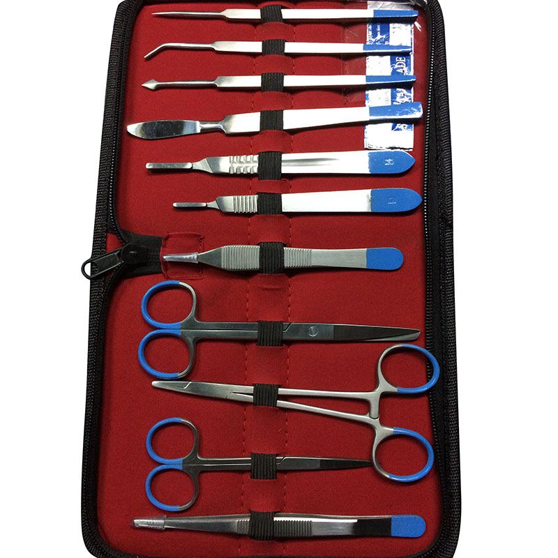 Dissecting Kit Single Use
