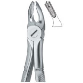 Extracting Forcep English Pattern