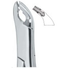 Extracting Forceps American Pattern